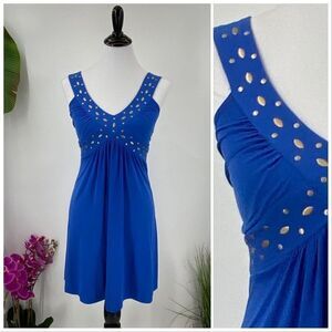 Royal Blue Style & Co  Knit Sun Dress Bronze Studded Fit & Flare Petite